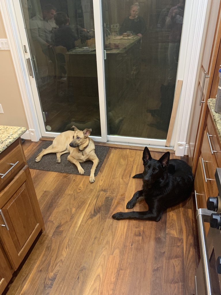 Stevie brandy chillin