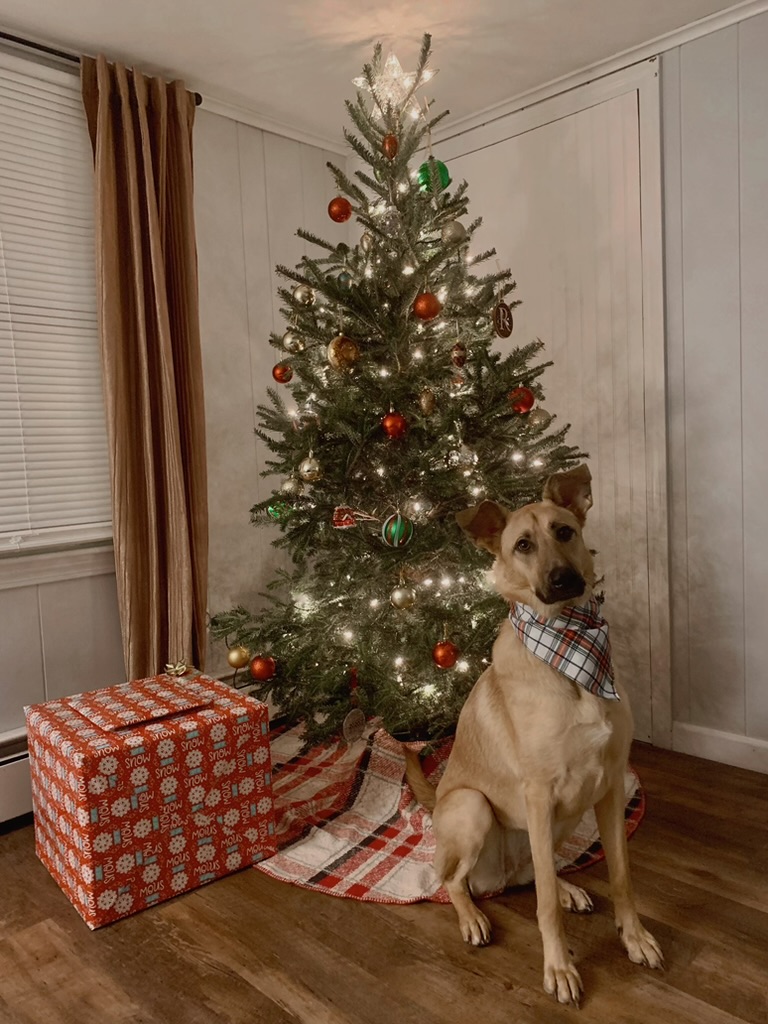 Stevie christmas present